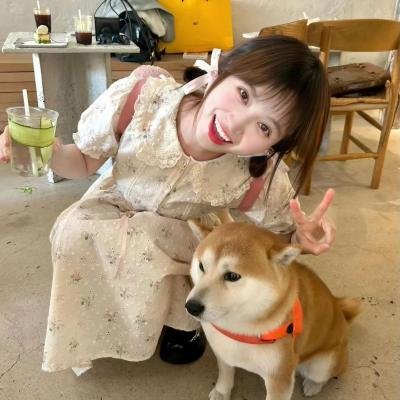 情圣来了