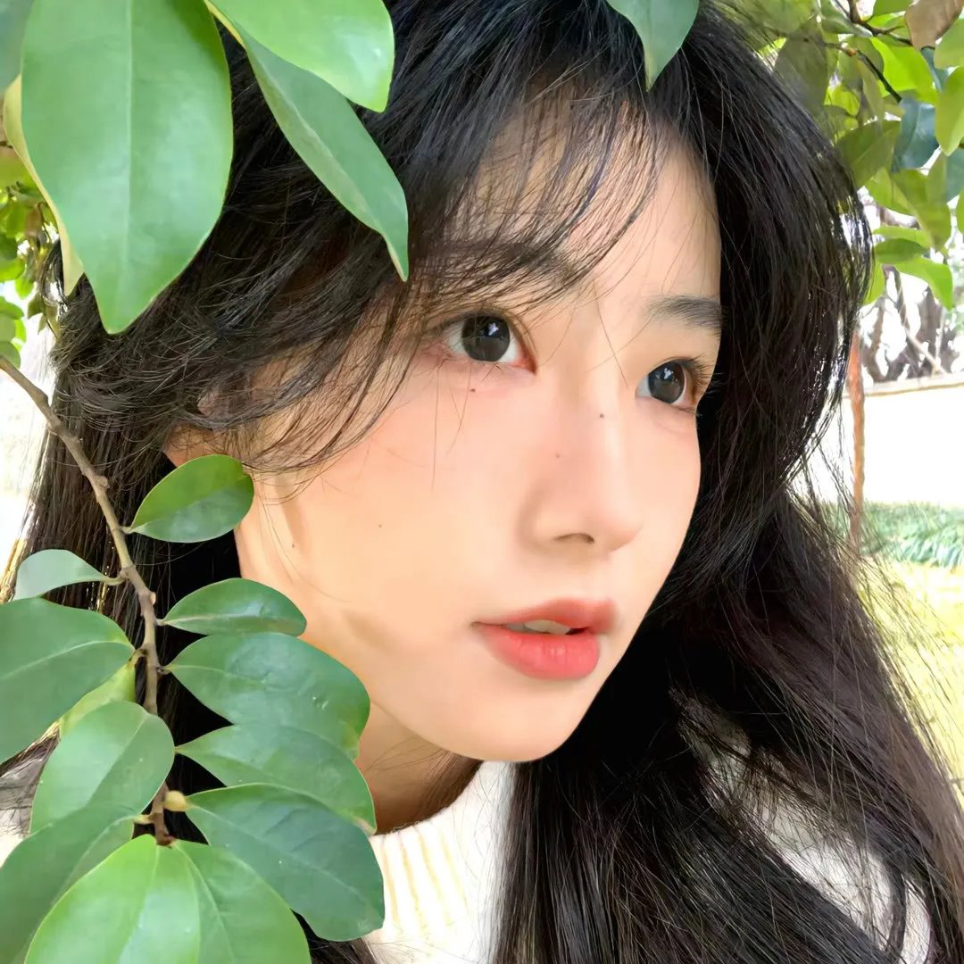 稻草之盾
