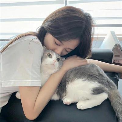 龟女士的奥德赛